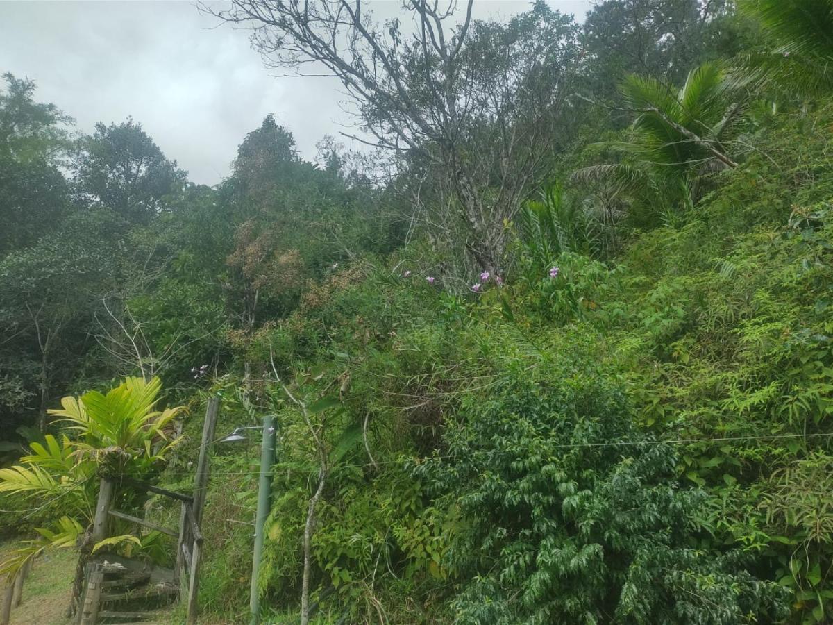 Hotel Ribeira Beach ウバトゥバ エクステリア 写真